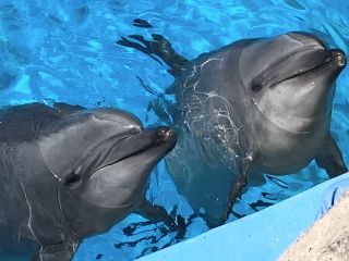 「zerolyst」さんからの投稿写真＠名古屋港水族館