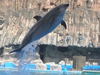 「zerolyst」さんからの投稿写真＠名古屋港水族館