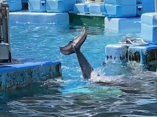 「zerolyst」さんからの投稿写真＠名古屋港水族館