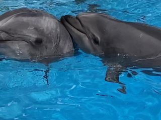 「zerolyst」さんからの投稿写真＠名古屋港水族館