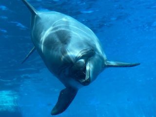 「zerolyst」さんからの投稿写真＠名古屋港水族館