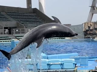 「zerolyst」さんからの投稿写真＠名古屋港水族館