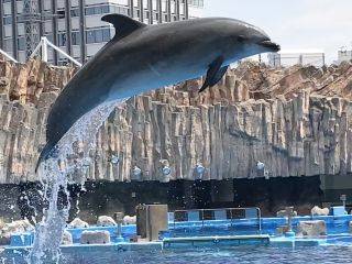 「zerolyst」さんからの投稿写真＠名古屋港水族館