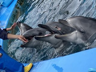 「zerolyst」さんからの投稿写真＠名古屋港水族館