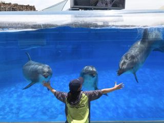 「zerolyst」さんからの投稿写真＠名古屋港水族館