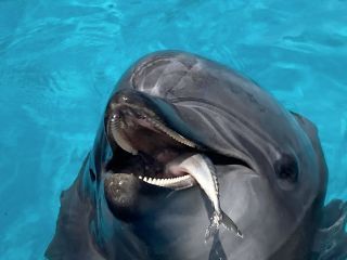 「zerolyst」さんからの投稿写真＠名古屋港水族館