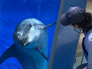 「zerolyst」さんからの投稿写真＠名古屋港水族館