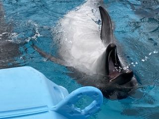 「zerolyst」さんからの投稿写真＠名古屋港水族館