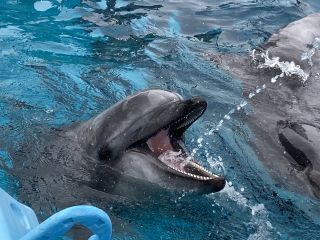 「zerolyst」さんからの投稿写真＠名古屋港水族館