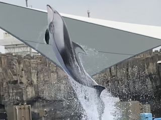 「zerolyst」さんからの投稿写真＠名古屋港水族館