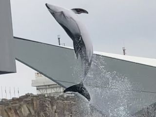 「zerolyst」さんからの投稿写真＠名古屋港水族館