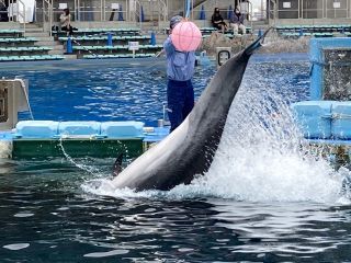 「zerolyst」さんからの投稿写真＠名古屋港水族館