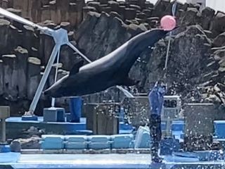 「zerolyst」さんからの投稿写真＠名古屋港水族館