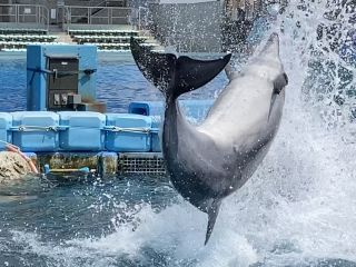 「zerolyst」さんからの投稿写真＠名古屋港水族館