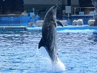 「zerolyst」さんからの投稿写真＠名古屋港水族館