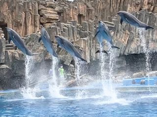 「zerolyst」さんからの投稿写真＠名古屋港水族館