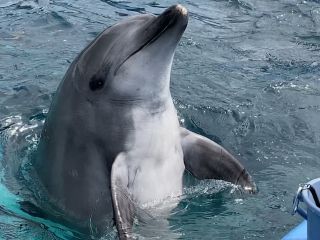 「zerolyst」さんからの投稿写真＠名古屋港水族館