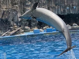 「zerolyst」さんからの投稿写真＠名古屋港水族館