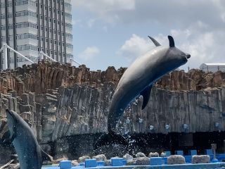 「zerolyst」さんからの投稿写真＠名古屋港水族館