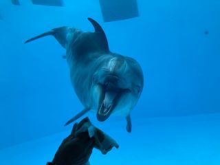 「zerolyst」さんからの投稿写真＠名古屋港水族館