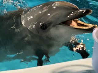 「zerolyst」さんからの投稿写真＠名古屋港水族館