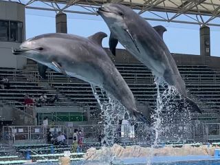 「zerolyst」さんからの投稿写真＠名古屋港水族館