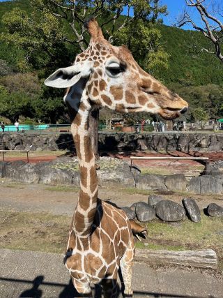 「ひとりーな」さんからの投稿写真＠伊豆アニマルキングダム