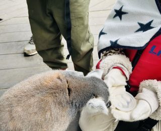 「ひとりーな」さんからの投稿写真＠伊豆シャボテン動物公園