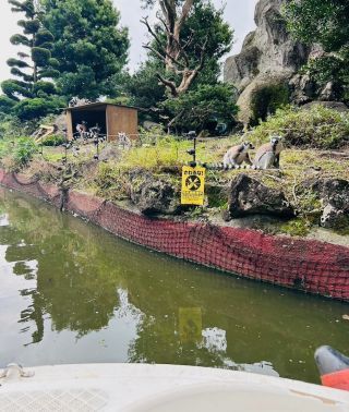 「ひとりーな」さんからの投稿写真＠伊豆シャボテン動物公園