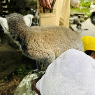 「ひとりーな」さんからの投稿写真＠伊豆シャボテン動物公園