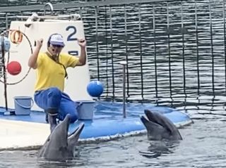 「zerolyst」さんからの投稿写真@鳥羽湾めぐりとイルカ島