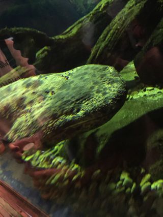 「ペコ2234」さんからの投稿写真＠神戸市立須磨海浜水族園