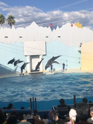 「真珠」さんからの投稿写真＠神戸市立須磨海浜水族園