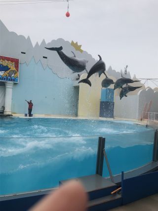 「真珠」さんからの投稿写真＠神戸市立須磨海浜水族園