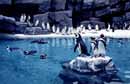 上越市立水族博物館うみがたりの写真