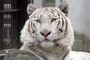 宇都宮動物園の写真