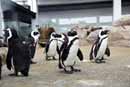 京都水族館の写真