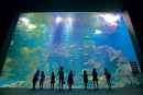 男鹿水族館GAOの写真
