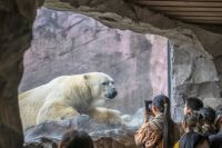 八木山動物公園の写真