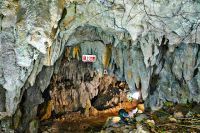 Yaeyama Limestone Cavern, Zoo & Botanical Garden