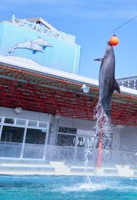 しながわ水族館の写真