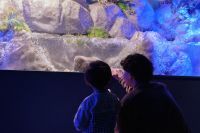 シン・マリホ水族館の写真