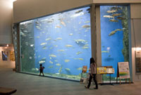 サケのふるさと 千歳水族館の写真