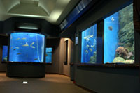 渋川マリン水族館（玉野海洋博物館）の写真