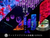 アートアクアリウム美術館　GINZAの写真