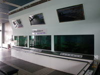 多摩川ふれあい水族館の写真