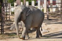 徳山動物園の写真
