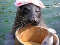 箱根園水族館の写真