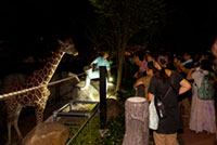 福山市立動物園の写真