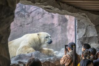 八木山動物公園写真１